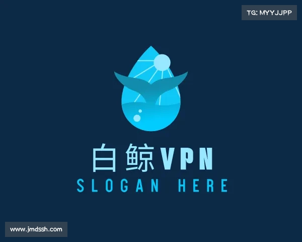 关于白鲸VPN